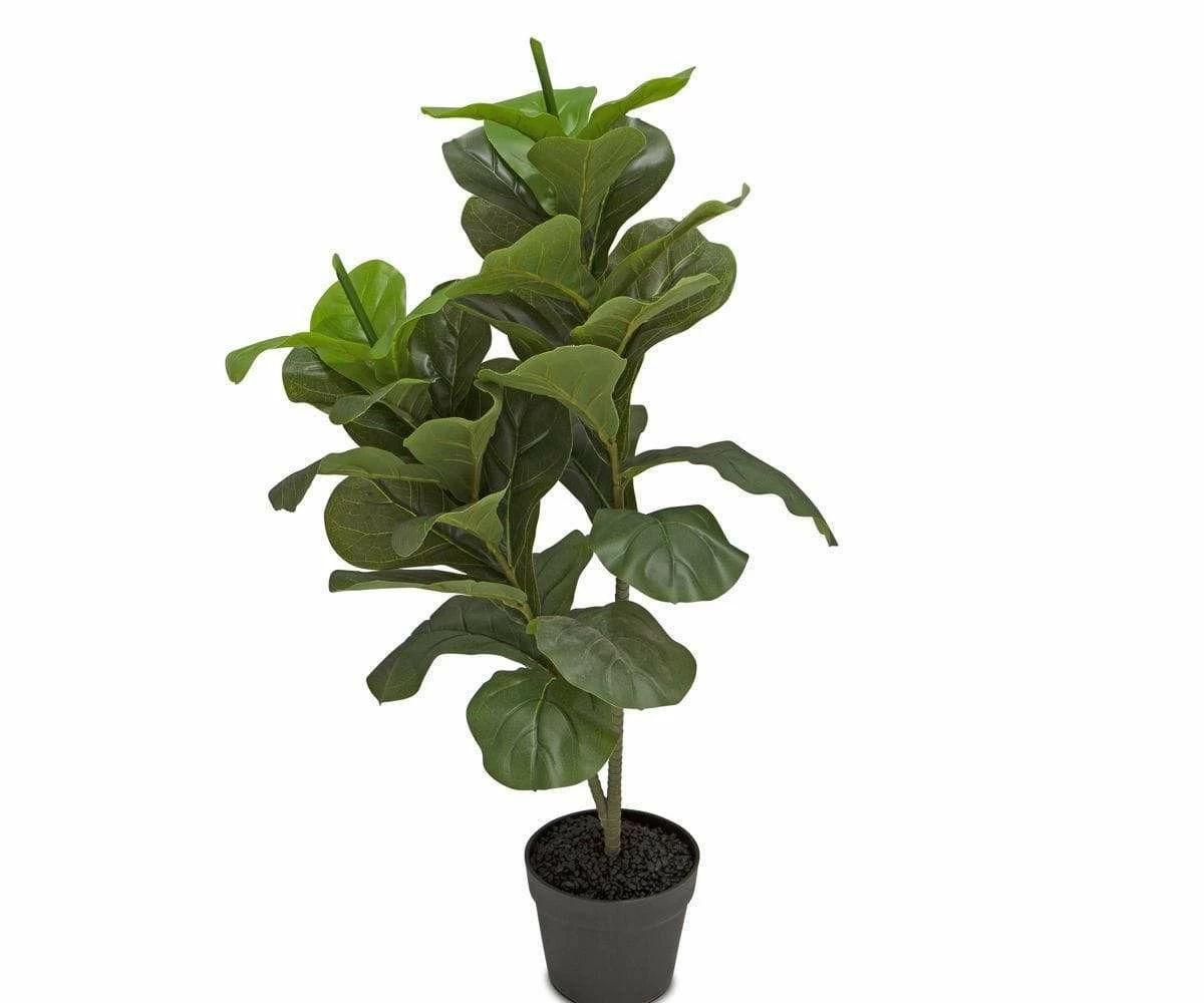 S64 Short Potted Faux Fiddle Floor Plant 3 S64 Short Potted Faux Fiddle Floor Plant - Image 3