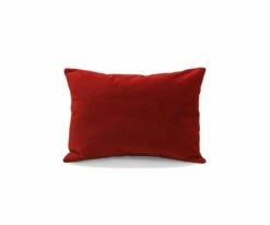 B12 Joei Velvet Lumbar Pillow 25 B12 Joei Velvet Lumbar Pillow -Home Decor Sales B12 DS186214 12 93e6a434 52f2 4fdb 8a2f 521e9904cc29