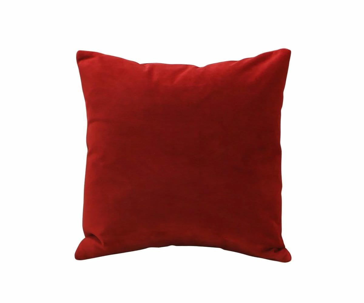 B12 Joei Velvet Pillow 26 B12 Joei Velvet Pillow - Image 26