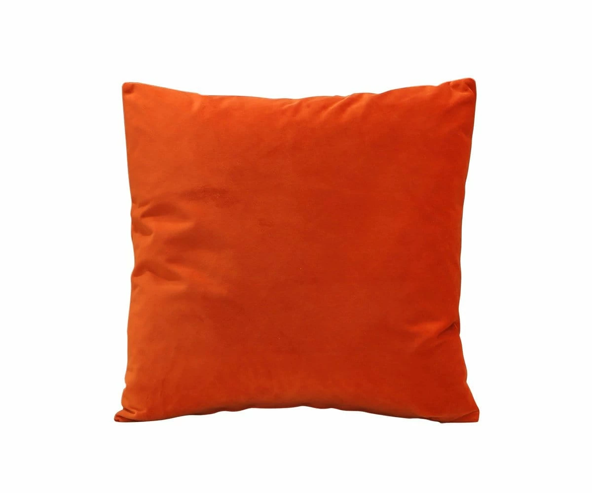 B12 Joei Velvet Pillow 20 B12 Joei Velvet Pillow - Image 20
