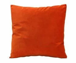 B12 Joei Velvet Pillow 49 B12 Joei Velvet Pillow -Home Decor Sales B12 DS186215 22 73135c4c b9e8 4bca ab54 c866b70ad45c