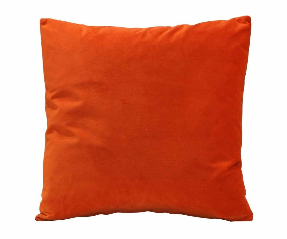 B12 Joei Velvet Pillow 21 B12 Joei Velvet Pillow - Image 21