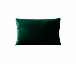B12 Joei Velvet Lumbar Pillow 19 B12 Joei Velvet Lumbar Pillow -Home Decor Sales B12 Joei dark green 25 18x12 2734205e adf3 49fb 89fa ed58c8b45518