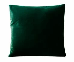 B12 Joei Velvet Pillow 41 B12 Joei Velvet Pillow -Home Decor Sales B12 Joei dark green 25 22x22 d4b59e06 6dfc 4008 801b 5401dce47230
