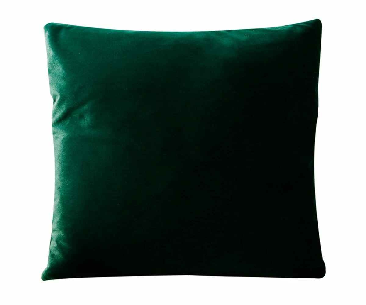 B12 Joei Velvet Pillow 13 B12 Joei Velvet Pillow - Image 13