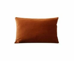 B12 Joei Velvet Lumbar Pillow