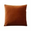 B12 Joei Velvet Pillow