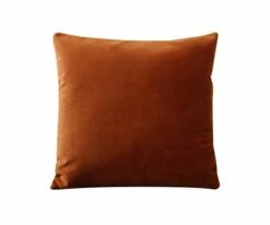 B12 Joei Velvet Pillow