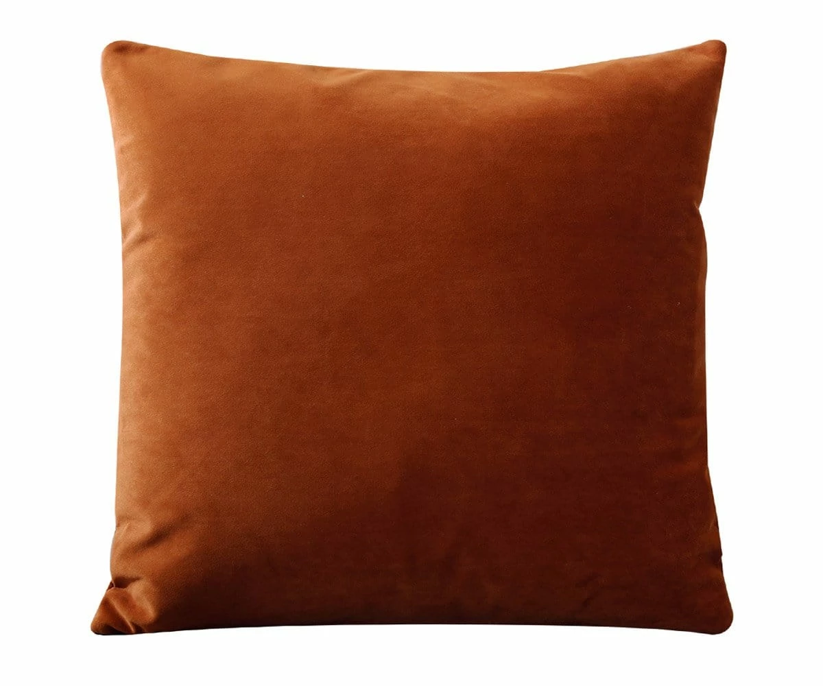 B12 Joei Velvet Pillow 2 B12 Joei Velvet Pillow - Image 2