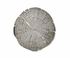 F27 Tree Ring Metal Art