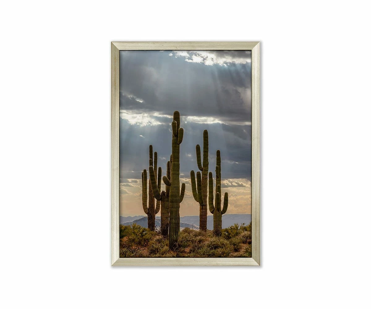 L33 Desert Bliss 1 L33 Desert Bliss