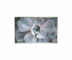 L33 Enchanted Tranquility