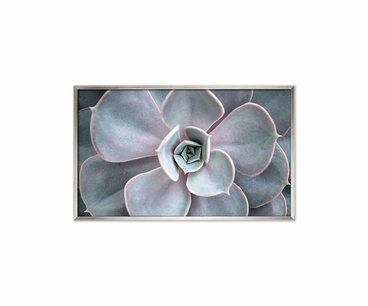 L33 Enchanted Tranquility 1 L33 Enchanted Tranquility