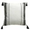 B36 Breezy Stripes Pillow Cover