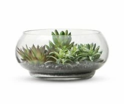 S64 Garden Faux Succulents in Glass Bowl Terrarium