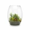 S64 Faux Succulent Variety in Glass Bowl Terrarium