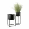 M52 Vaskr Planters